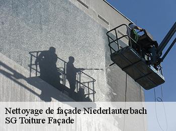 Nettoyage de façade  67630