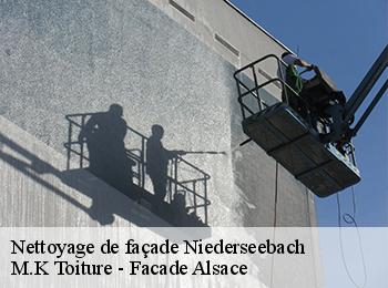 Nettoyage de façade