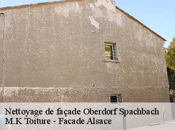 Nettoyage de façade oberdorf-spachbach-67360 M.K Toiture - Facade Alsace