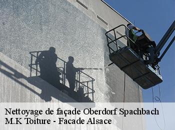 Nettoyage de façade