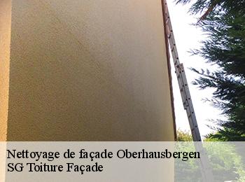 Nettoyage de façade  oberhausbergen-67205 SG Toiture Façade