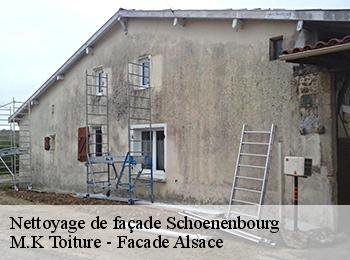 Nettoyage de façade  67250