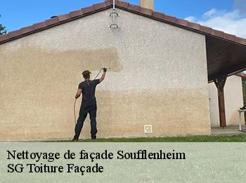 Nettoyage de façade