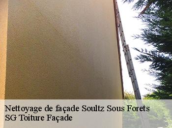 Nettoyage de façade soultz-sous-forets-67250 SG Toiture Façade