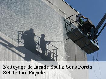 Nettoyage de façade 67250