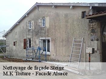 Nettoyage de façade  67220