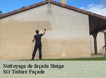 Nettoyage de façade