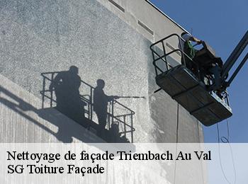 Nettoyage de façade  67220