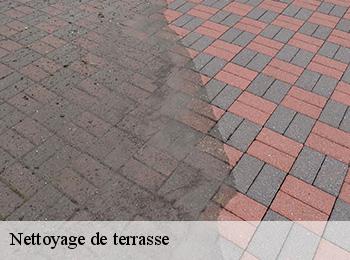 Nettoyage de terrasse 67310