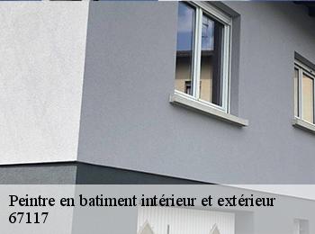 Peintre en batiment intérieur et extérieur  67117