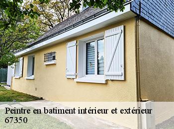 Peintre en batiment intérieur et extérieur 67350
